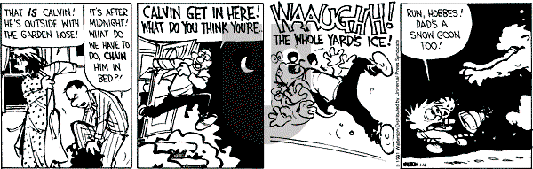 Calvin and Hobbes - Wednesday January 16, 1991 Comic Strip