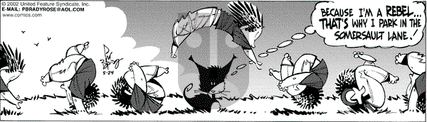 Rose is Rose on Friday May 24, 2002 Comic Strip