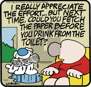 Ziggy on Friday October 15, 2021 Comic Strip