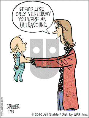 Moderately Confused on Monday January 18, 2010 Comic Strip