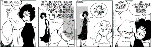 9 Chickweed Lane on Monday June 23, 2008 Comic Strip