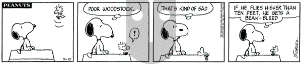 Peanuts on Thursday July 15, 1971 Comic Strip