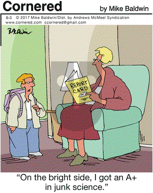 Cornered on Saturday June 3, 2017 Comic Strip