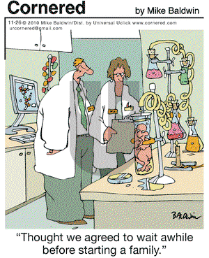 Cornered on Friday November 26, 2010 Comic Strip