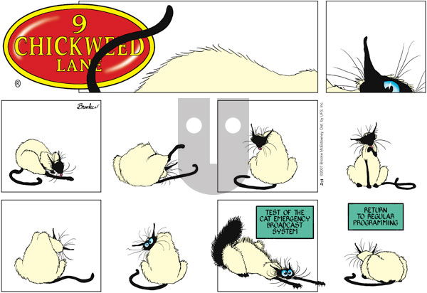 9 Chickweed Lane on Sunday February 11, 2007 Comic Strip