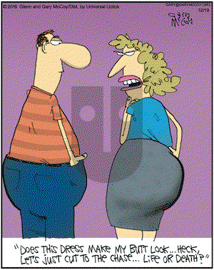 The Flying McCoys on Monday December 19, 2016 Comic Strip