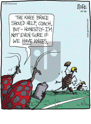 In the Bleachers on Friday October 23, 2009 Comic Strip
