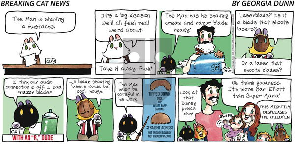 Breaking Cat News on Sunday May 24, 2020 Comic Strip