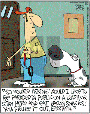The Flying McCoys on Saturday March 3, 2018 Comic Strip