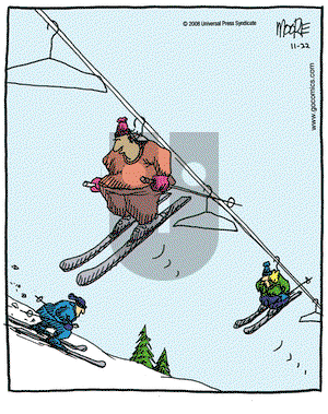 In the Bleachers on Saturday November 22, 2008 Comic Strip