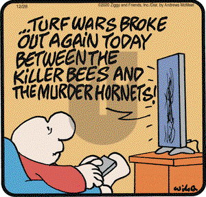 Ziggy on Monday December 28, 2020 Comic Strip