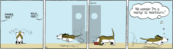 Fred Basset on Friday June 6, 2025 Comic Strip