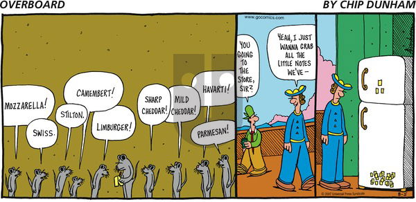 Overboard on Sunday August 5, 2007 Comic Strip