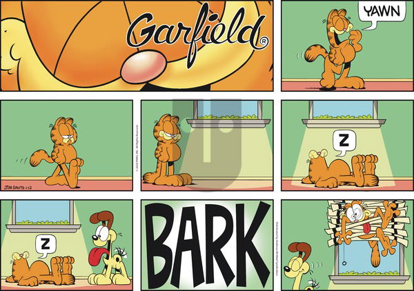 Garfield on Sunday January 12, 2020 Comic Strip
