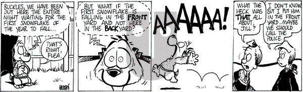 Buckles - Thursday November 30, 2023 Comic Strip