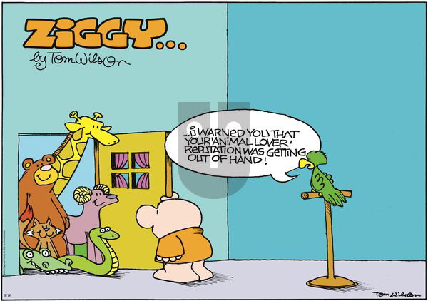 Ziggy on Sunday September 16, 2012 Comic Strip