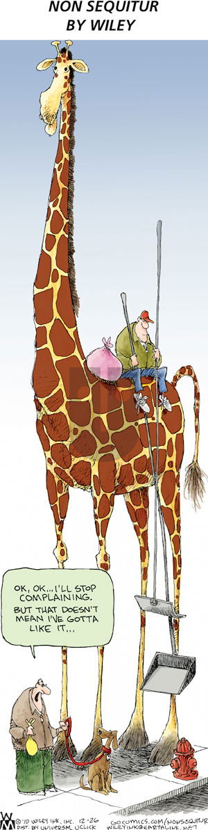 Non Sequitur on Sunday December 26, 2010 Comic Strip