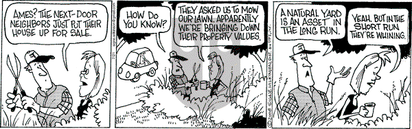 Family Tree - Monday July 22, 2024 Comic Strip
