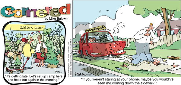 Cornered on Sunday August 30, 2020 Comic Strip