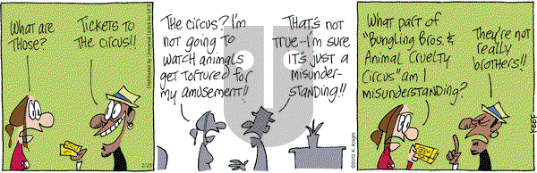 The Knight Life on Monday February 25, 2013 Comic Strip