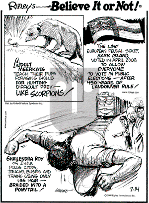 Ripley's Believe It or Not on Monday July 14, 2008 Comic Strip