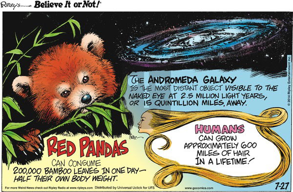 Ripley's Believe It or Not on Sunday July 27, 2014 Comic Strip