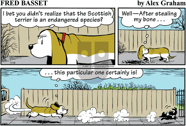 Fred Basset on Sunday January 18, 2009 Comic Strip