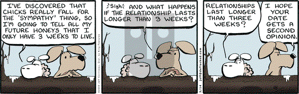 DeFlocked on Saturday March 14, 2009 Comic Strip
