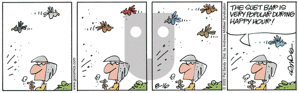 Next Door Neighbors - Tuesday August 16, 2022 Comic Strip