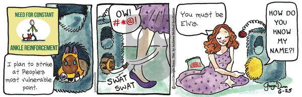 Breaking Cat News on Monday June 25, 2018 Comic Strip
