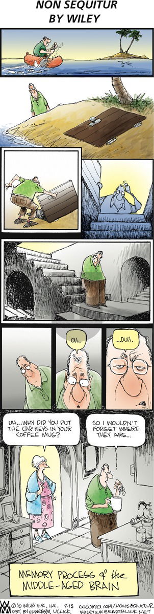 Non Sequitur on Sunday July 13, 2014 Comic Strip
