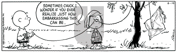 Peanuts on Monday June 14, 1993 Comic Strip