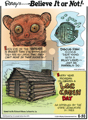 Ripley's Believe It or Not on Monday June 30, 2014 Comic Strip