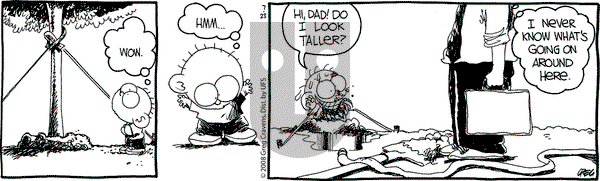 The Buckets on Wednesday July 23, 2008 Comic Strip