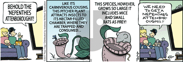Thatababy on Friday June 2, 2017 Comic Strip