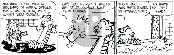 Calvin and Hobbes - Wednesday March 15, 2023 Comic Strip