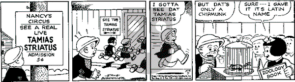 Nancy on Saturday April 9, 1949 Comic Strip