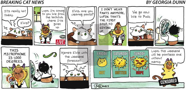 Breaking Cat News on Sunday August 5, 2018 Comic Strip