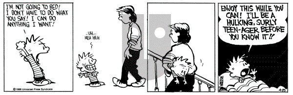 Calvin and Hobbes on Monday April 25, 1988 Comic Strip