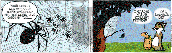 Over the Hedge on Monday June 4, 2012 Comic Strip