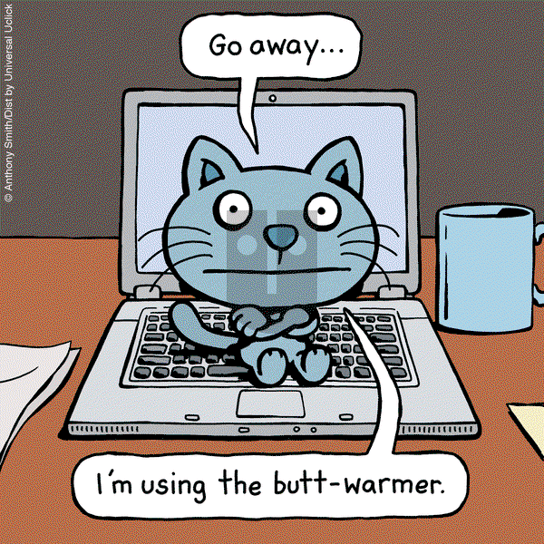 Cattitude — Doggonit on Wednesday June 4, 2025 Comic Strip