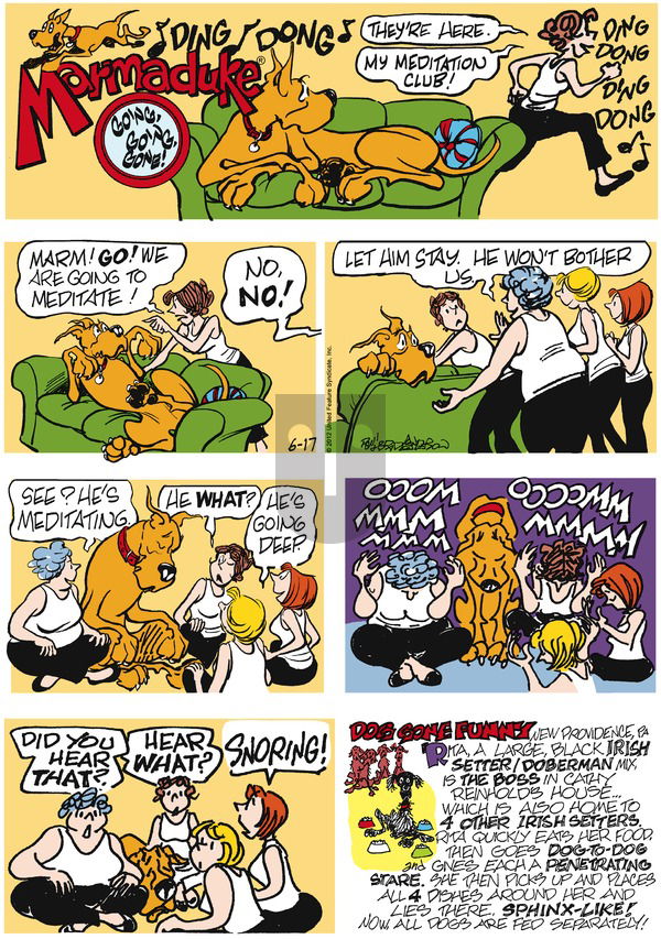 Marmaduke on Sunday June 17, 2012 Comic Strip