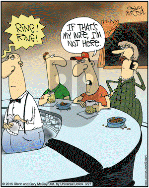 The Flying McCoys on Friday March 27, 2015 Comic Strip