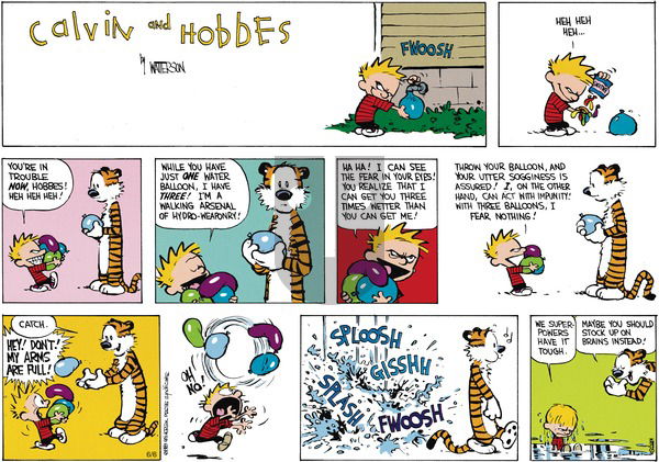 Calvin and Hobbes on Sunday July 16, 1989 Comic Strip