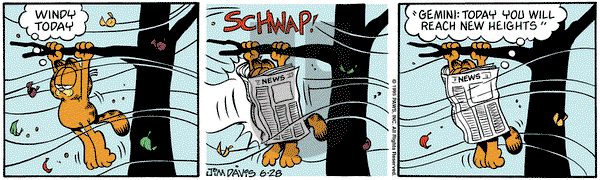 Garfield on Wednesday June 28, 1995 Comic Strip