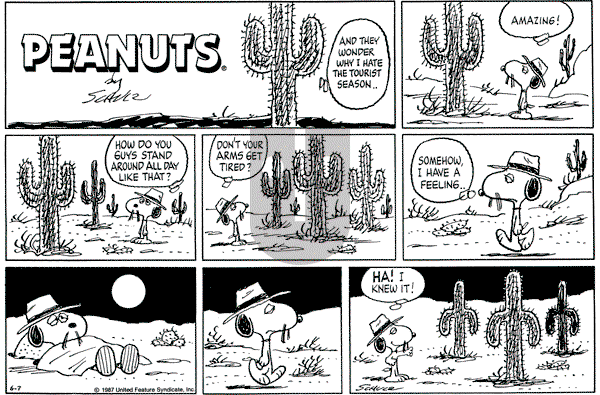 Peanuts - Sunday June 7, 1987 Comic Strip