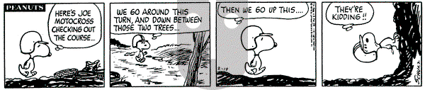 Peanuts on Wednesday February 19, 1975 Comic Strip