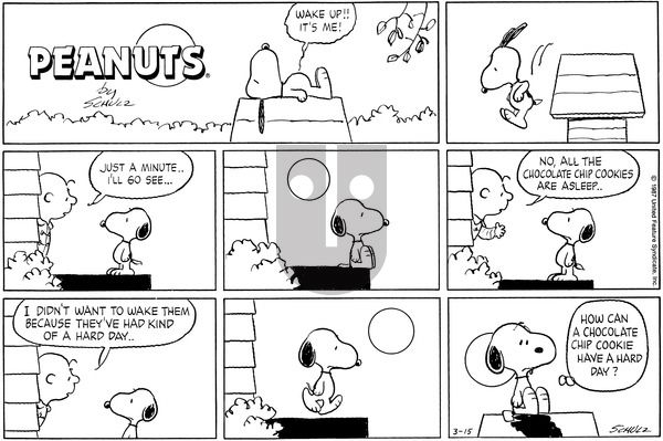 Peanuts on Sunday March 15, 1987 Comic Strip