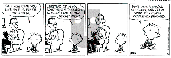 Calvin and Hobbes - Wednesday January 1, 1986 Comic Strip