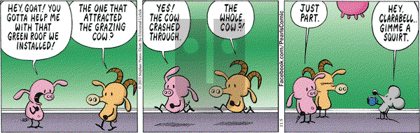 Pearls Before Swine on Tuesday November 5, 2013 Comic Strip